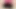 chubby fem boi sucking dildo and putting dildo in his pussy which makes him squirt