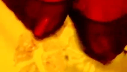 Naylon güzel ayaklar