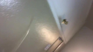 Milf- banyoda yapay penis selfie alarak