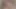 Halley Hill şehvetli bir kolej oral seksi için büyük sert bir yarağı kırbaçlıyor