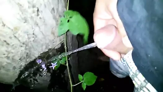 Karım ve ben birlikte duvara pissing