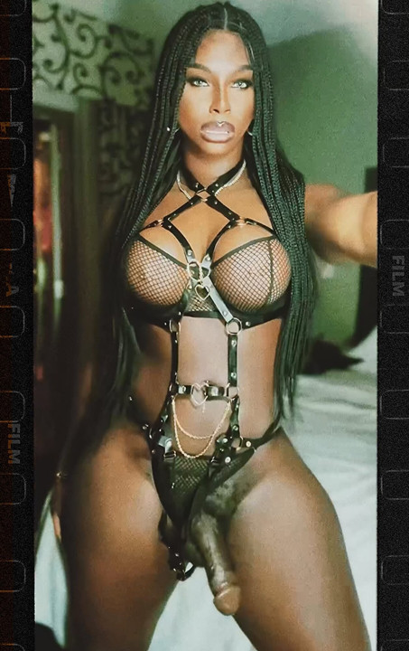 Travesti Thotiana Vixen