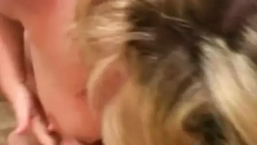 Şehvetli oral seks deneyim kadar o puf boşalmak için uyandırmak