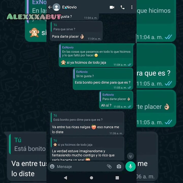 Eski sevgilimden anal teklif.. Whatsapp'ta ateşli sohbet (kuyruğuma bir tıkaç sokuyorum)
