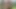 My gifted best friend took me to a cabin in the woods to fuck me wildly
