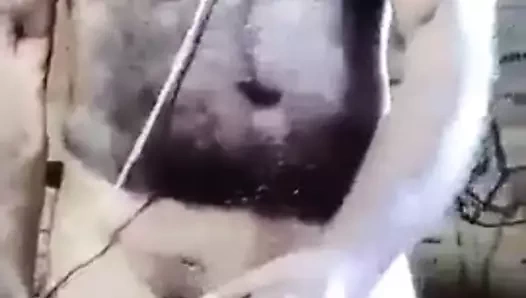 Desi yaşlı adam handjob