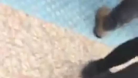 Seksi ortak işçi zambak tozluk spandex