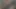 Patron, çalışanları iyi çalışmaları için ödüllendiriyor