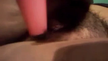 abanoz oynar ile onu güzel küçük kıllı KEDİ