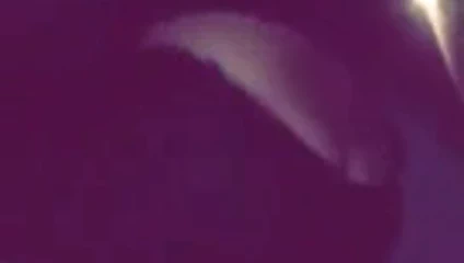 Arabanın ön koltuğunda Snapchat twerk