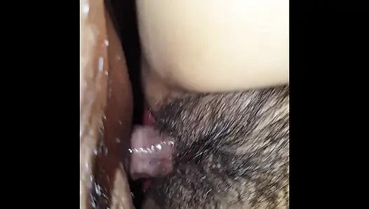 Mini bush'tan göte gavat latin