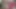 Üç seksi porno yıldızları emmek ve yabancıları sikmek için sıraya giriyor