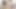 Utanç4k. hizmetçi öğrenci isteyerek matkaplar bir sıkı traş kedi var