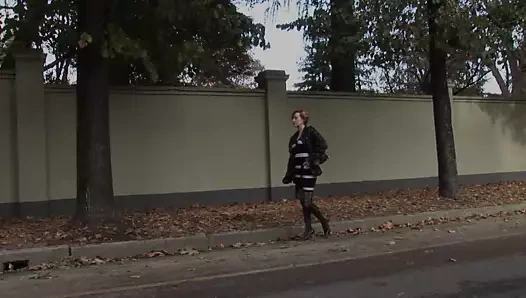 Horoz için açgözlü! (tam film - hd versiyonu)