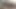 Seksi çıplak ayaklar genç tyler tilki kırlangıçlar büyük kalın horoz