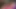 Seksi iri güzel kadın jucielussie ile güzel mastürbasyon