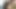 Seksi zenci bebek arkadaşlarının ıslak amına vibratör sokuyor