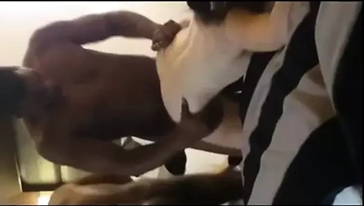 Aldatılan koca filme eş ile bbc