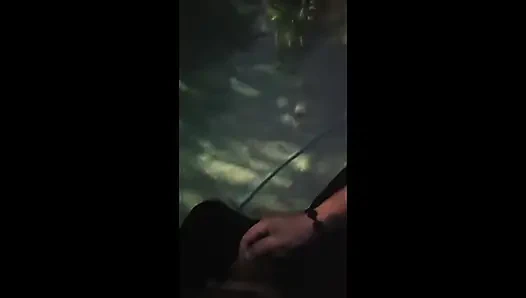 Havuz görevlisine ödeme için elle muamele çekiyor