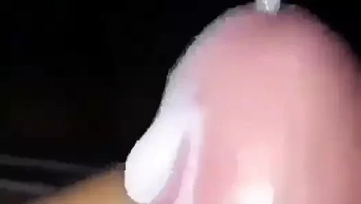 Büyük ayıları seviyorum