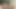 Brezilyalı MILF, Skinny'nin dev penisine bolca boşalıyor.