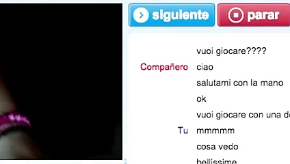 Porcona italiana gravida