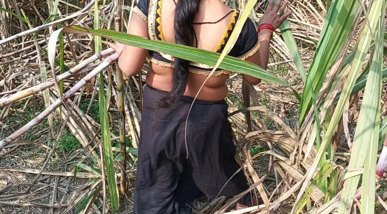 Premium My Sexy Wife And I In The Sugarcane Field In Mast Chudai Indian Video (Uncut AU) - Perth Locals Only - Australian Sex Video