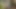 Rektal sıkıştırma jizz sihirbazları