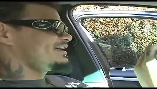 Su balonlarıyla kedi dövüşü