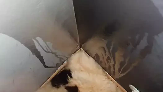 Odamın köşesinde sabah işemek