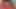 Lezbiyenler oral seks ve binişte yeni bir kemer denemesi