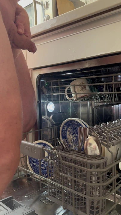 Bulaşık yıkayıcıya işiyor