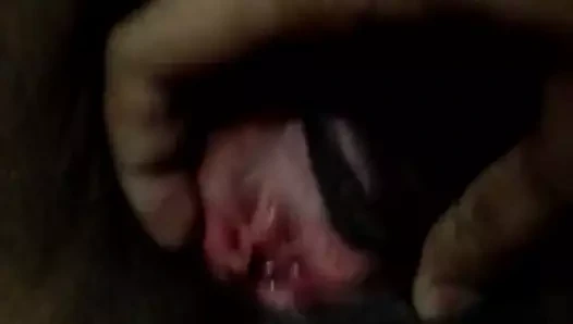 Pakistanlı kedi kapatmak