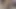 Güzel mona evde kimse yokken amını ovuyor