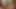 Eski4k. yaşlı adam şefkatle iyi görünümlü ıslak kedi nüfuz