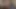 Halley Hill şehvetli bir kolej oral seksi için büyük sert bir yarağı kırbaçlıyor