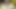 Indian husband and wife face videos