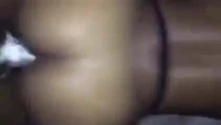 Güzel siyah kedi gets kremsi