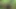 Fuck and Suck BIG Tits Stranger in Woods