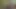 VIP4k. adam selam verirse piliç biraz para vermeye hazır