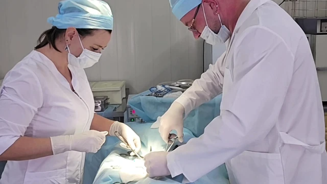 Doktor büyük memeli bir hemşireyi sikiyor