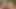 Fransız clea gaultier yağlanmış, büyük bir yapay penis ile oynuyor