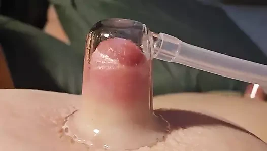 Büyük şişman meme ucu