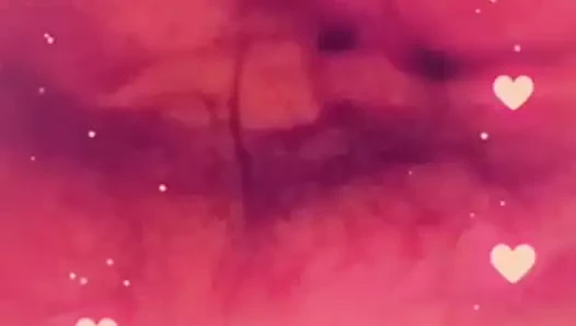 alay ve kahrolası benim tombul kıllı KEDİ