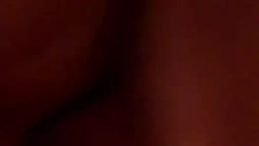 Kahrolası eski sulu kedi