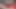 Seksi dolgun kayla mounds oyuncağı açgözlü amcığını sikiyor