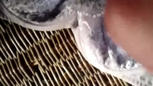 Boşalmak üzerinde sıcak milf 36g sutyen ve kirli küçük tanga