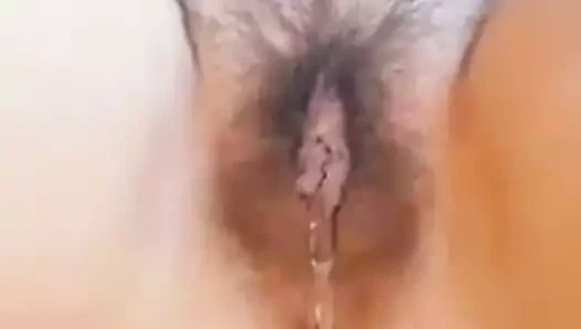 Güzel kıllı kedi pissing