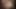 00001Ellie Bee