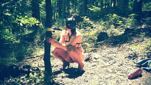 Güzel sürtük ormanda tamamen çıplak dildo emiyor